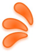 Gota